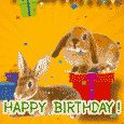 Happy Birthday With Rabbits’ Band.