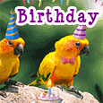 Happy Birthday Birds.