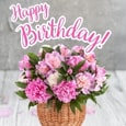 Wonderful & Special Birthday As You!