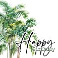 Palm Trees Birthday Card.