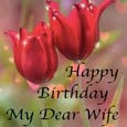 Happy Birthday My Darling Wife.