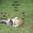 Twin Kids, Birthday Kittens.