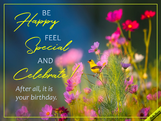 feel-special-free-happy-birthday-messages-ecards-greeting-cards-123