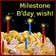 Milestone Birthday Wish!