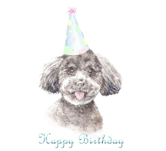 Happy Birthday Dog... Free Pets eCards, Greeting Cards | 123 Greetings