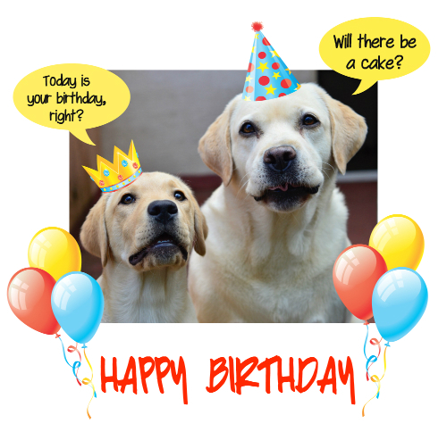 free birthday clipart with dogs - photo #45
