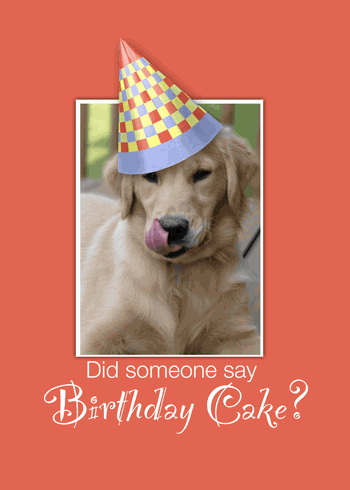 Happy Birthday Dog, Funny Golden... Free Pets eCards, Greeting Cards