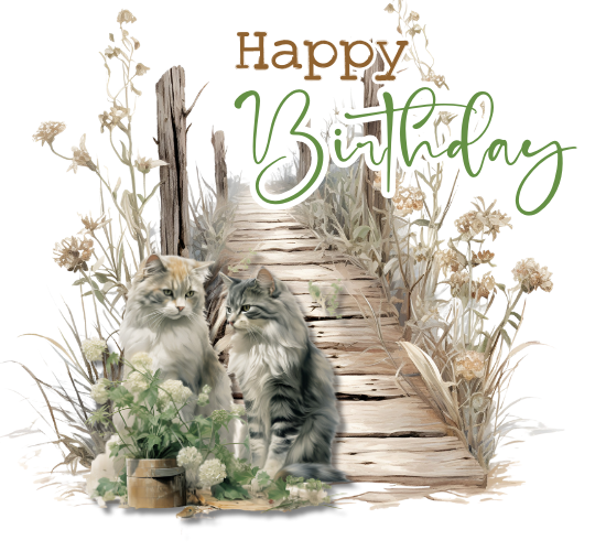 Beautiful Cat Scene Birthday Card.