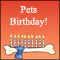 Pet Dog's Birthday!