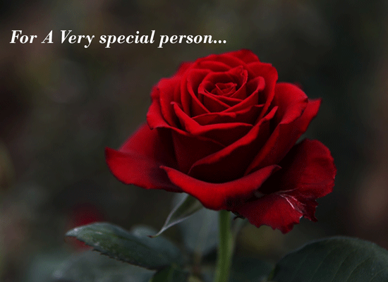 For A Very Special Person Free Specials eCards 