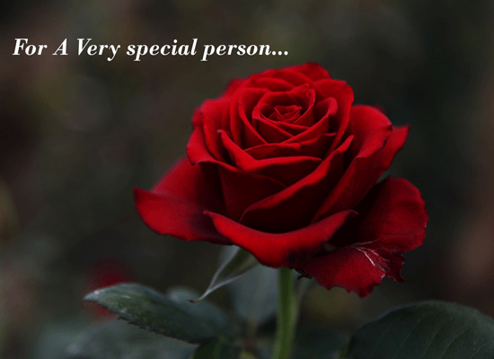 for-a-very-special-person-free-specials-ecards-greeting-cards-123