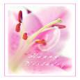 Wishing You A Happy Birthday.