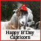Capricorn Birthday Wish!