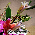 Floral Congratulatory Wish.