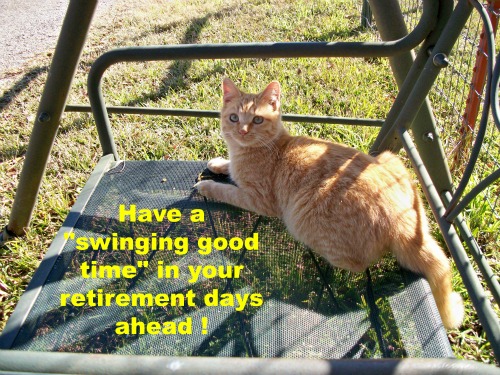 Retirement Wishes From A Cat! Free Retirement eCards 