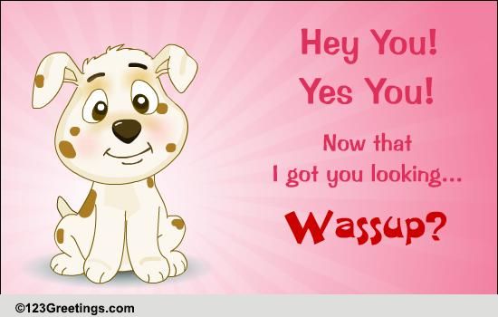 Wassup? Free Cute Etc Ecards, Greeting Cards 