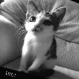 Kitty!