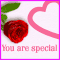 For Someone Special...