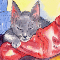 Grey Kitten Asleep On Laundry.