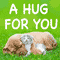 A Hug For You Cute Card...