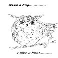 I Give A Hoot.