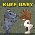 Ruff Day? Sending A Hug!
