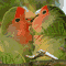 A Kiss To Say I Love You.