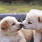 Your Kiss Is The Best Thing Ever...