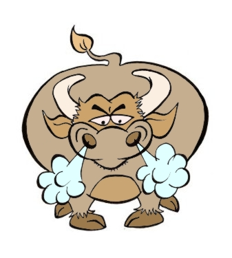 No Bull!