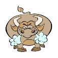 No Bull!