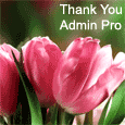Say Thank You To An Admin Pro.