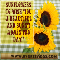 Sunflowers For Sunny Admin Pro Day.