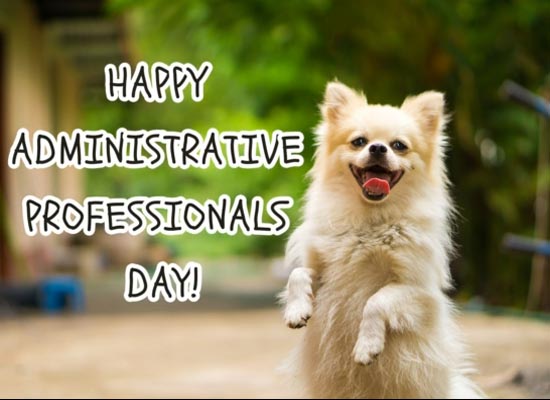 Admin Pro Day Wishes To Cheer Ur Free Happy Administrative Professionals Day® Ecards 123 