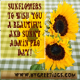 Sunflowers For Sunny Admin Pro Day.