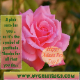 Admin Pro Day Pink Rose For Gratitude.