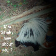 April Fool Creature April Fool Creature