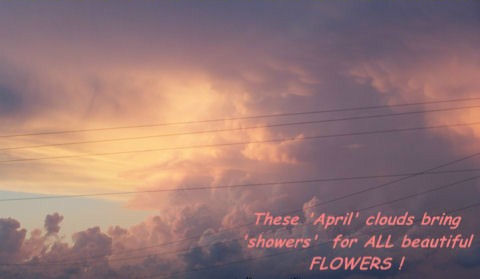 April Showers Sky.