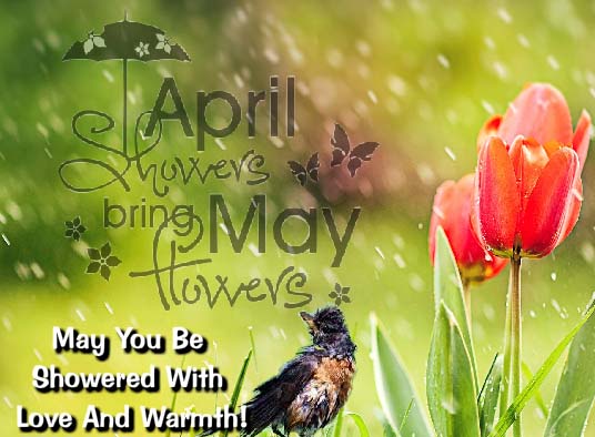 Showers Of Love And Warmth Free April Showers Day Ecards 123 Greetings