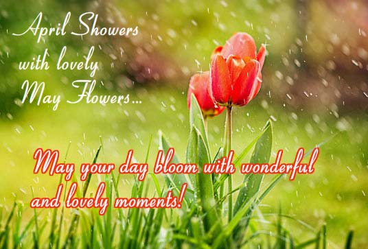 Lovely April Showers Free April Showers Day Ecards Greeting Cards