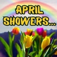 April Showers Bring May...