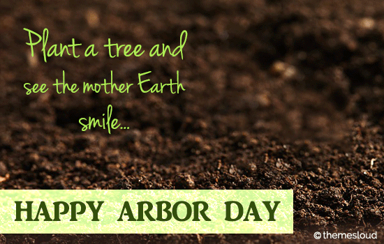 Plant A Tree On National Arbor Day!