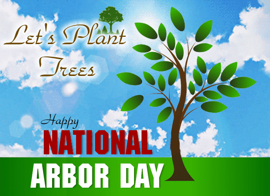 Let’s Plant Trees On Arbor Day.