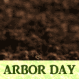 Plant A Tree On National Arbor Day!