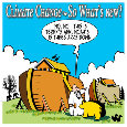 Terry&rsquo;s Ark.