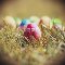 Colorful Easter Egg.
