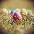 Colorful Easter Egg.