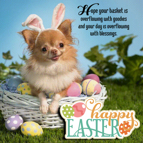 A Cute Easter Message Card For You.