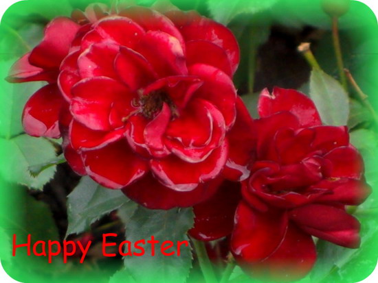 happy easter day image. Happy Easter Day.