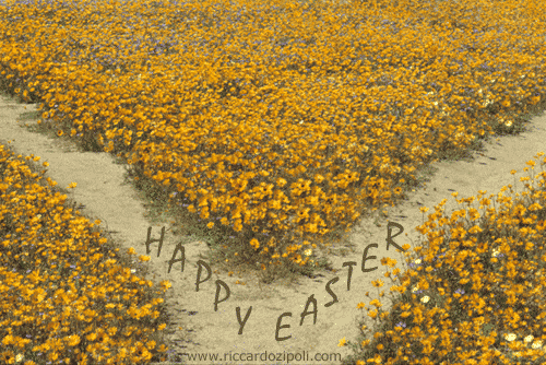 happy easter images greetings. Free Happy Easter eCards,
