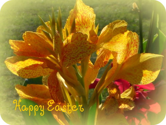 happy easter day image. Happy Easter Day.